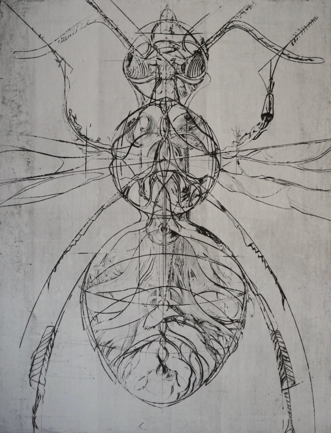 Charley Case, L'abeille blanche, gravure, 100 x 80 cm, 2020kopie